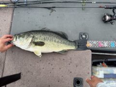 【BassFishing】釣行結果３